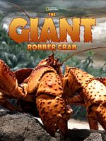 Pôster de Ilha Christmas: O Reino do Caranguejo Ladrão