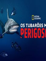 Pôster de Os Tubarões Mais Perigosos