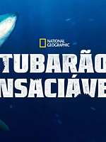 Pôster de Tubarão Insaciável