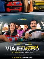 Pôster de Uma Roubada em Família