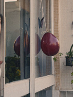 Pôster de Tudo o Que Cresce e Voa