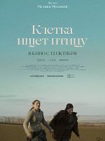 Pôster de A Gaiola Procura por um Pássaro