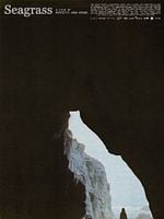 Pôster de Algas Marinhas