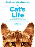 Pôster de A Cat's Life