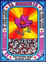 Pôster de El Brigadista