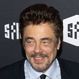 Benicio Del Toro