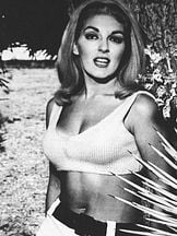 foto de Lori Williams