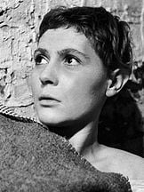 foto de Anna Ciepielewska