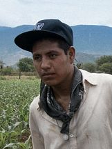 foto de Mateo Bautista Matías