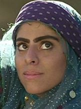 foto de Shaghayegh Djodat