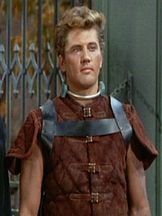 foto de Steve Sandor