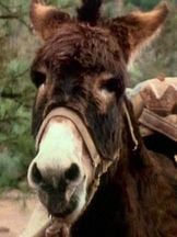 foto de Number Seven