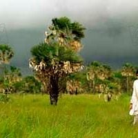 Foto Ignacio Jiménez