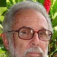 Foto José Carlos Meirelles