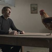 Foto Peter Van den Begin