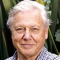Foto David Attenborough