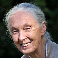 Foto Jane Goodall