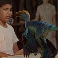 Foto Darius Williams