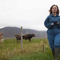 Foto Arndís Hrönn Egilsdóttir