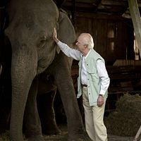 Foto Robert Gustafsson