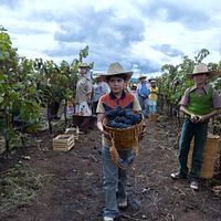 Foto Juan Pablo Monterrubio