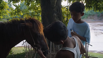 imagem de Não Sou um Herói Trailer Original