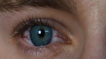 imagem de Sanguine Teaser Original