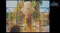 imagem de As Dez Vantagens De Morrer Depois De Você Trailer Original