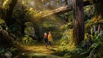 imagem de O Bosque Selvagem Trailer Legendado