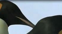 imagem de A Marcha dos Pingüins Trailer (2) Legendado