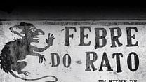 imagem de Febre do Rato Trailer Dublado