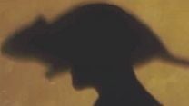 imagem de A Erva do Rato Trailer