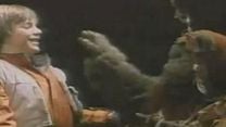 imagem de Caravana da Coragem - Uma Aventura Ewok Trailer Original