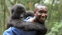 imagem de Virunga Trailer Original