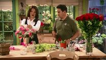imagem de Happily Divorced Clipe Original We Love The Nanny