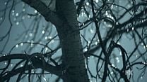 imagem de Fargo 2ª Temporada Teaser (10) Shoe Tree Original