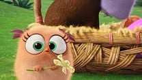 Angry Birds - O Filme Teaser (2) Dublado - "Páscoa" 