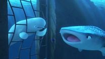 imagem de Procurando Dory Clipe (5) Original - Você é uma beluga