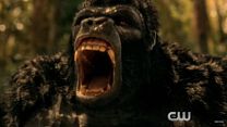 imagem de The Flash 3ª Temporada Trailer (7) Original 