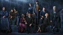 imagem de Animais Fantásticos: Os Crimes de Grindelwald Teaser Original