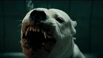 imagem de Dogman Trailer Original