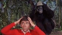 imagem de The Gilligan Manifesto Trailer Original