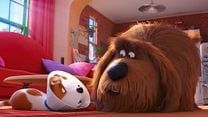 imagem de Pets - A Vida Secreta dos Bichos 2 Trailer (6) Dublado