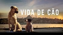 imagem de Vida de Cão Trailer Legendado