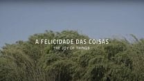 imagem de A Felicidade das Coisas Trailer Original