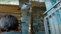 imagem de Giraffada / Girafada Trailer Original
