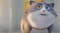 imagem de Um Gato de Sorte Trailer Oficial Dublado