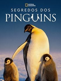 Segredos dos Pinguins