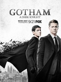 Pôster de Gotham (2014)