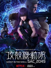 Ghost in the Shell: SAC_2045